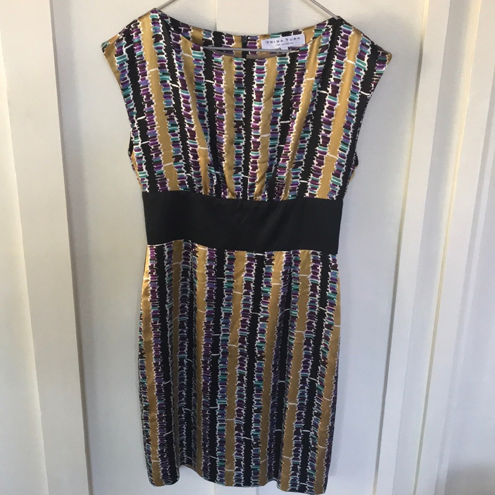 Gorgeous silk Trina Turk dress